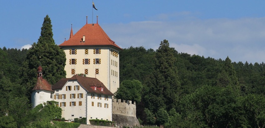Schloss Heidegg